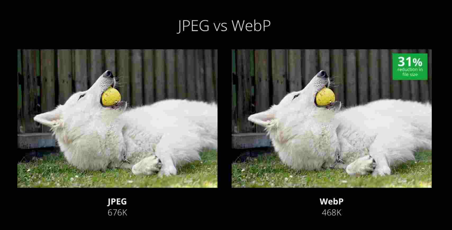 JPEG vs WebP